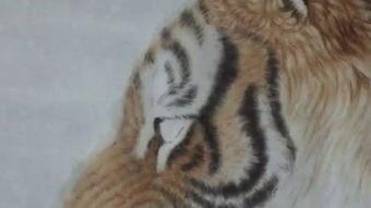 四虎最新欧美视频下载,独家资源，一网打尽！