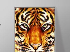 四虎最新欧美视频下载,独家资源，一网打尽！