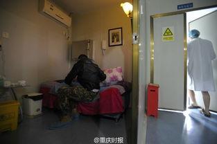 欧美房间介绍视频,视频揭秘