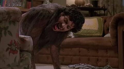 欧美狼叫视频在线播放,揭秘神秘自然现象的震撼视听之旅