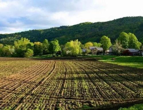 欧美农村大草坪图片视频,诗意栖息的田园画卷