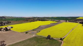 欧美农村大草坪图片视频,诗意栖息的田园画卷