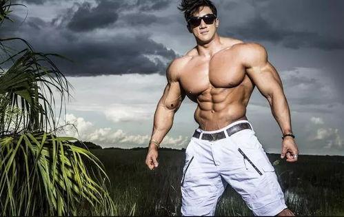 欧美健身男展示视频大全