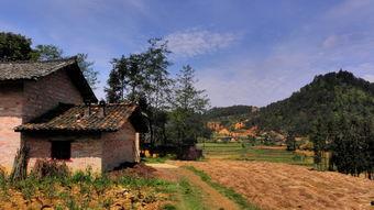 欧美乡村道路风景视频,漫步田园，感受自然之美