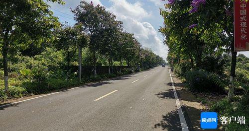 欧美乡村道路风景视频,漫步田园，感受自然之美