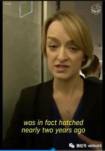 欧美色多视频在线观看,一场视觉盛宴的探索之旅