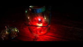 欧美大片夜间免费视频,欧美大片免费盛宴