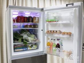 欧美冰箱收纳视频大全,打造整洁厨房的秘密武器