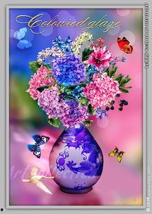 欧美鲜花视频网站免费,免费探索全球花卉之美