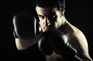 欧美拳击电影盘点视频,热血沸腾的拳坛传奇