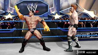 欧美摔跤图片高清视频,高清视频中的激情碰撞与力量对决