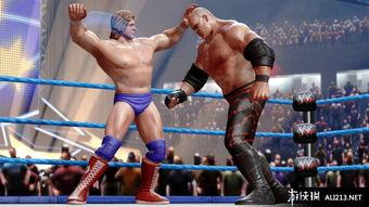 欧美摔跤图片高清视频,高清视频中的激情碰撞与力量对决