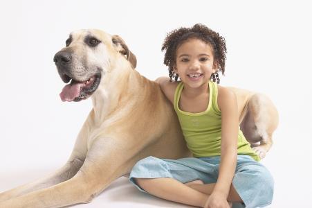 欧美狗配女人视频在线观看,在线观看带你领略异域风情