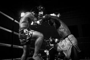 拳击欧美视频卡点,热血沸腾的卡点对决