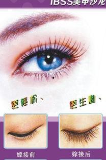 欧美睫毛博主视频素材,揭秘睫毛增长秘诀