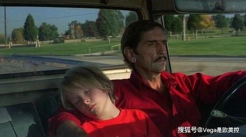 欧美父子对比图片视频,温馨瞬间对比，揭示中西亲子关系的差异