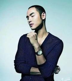 男星惊艳造型欧美视频,时尚跨界，魅力无限